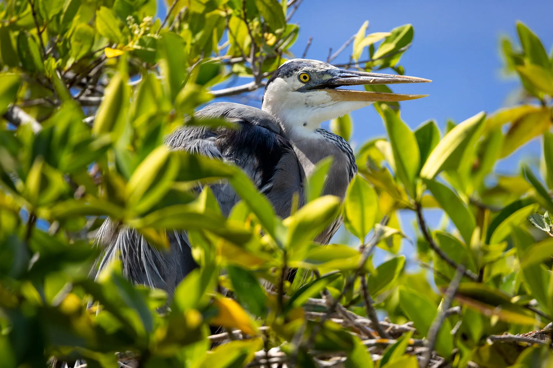 Galápagos — photograph 14 of 32