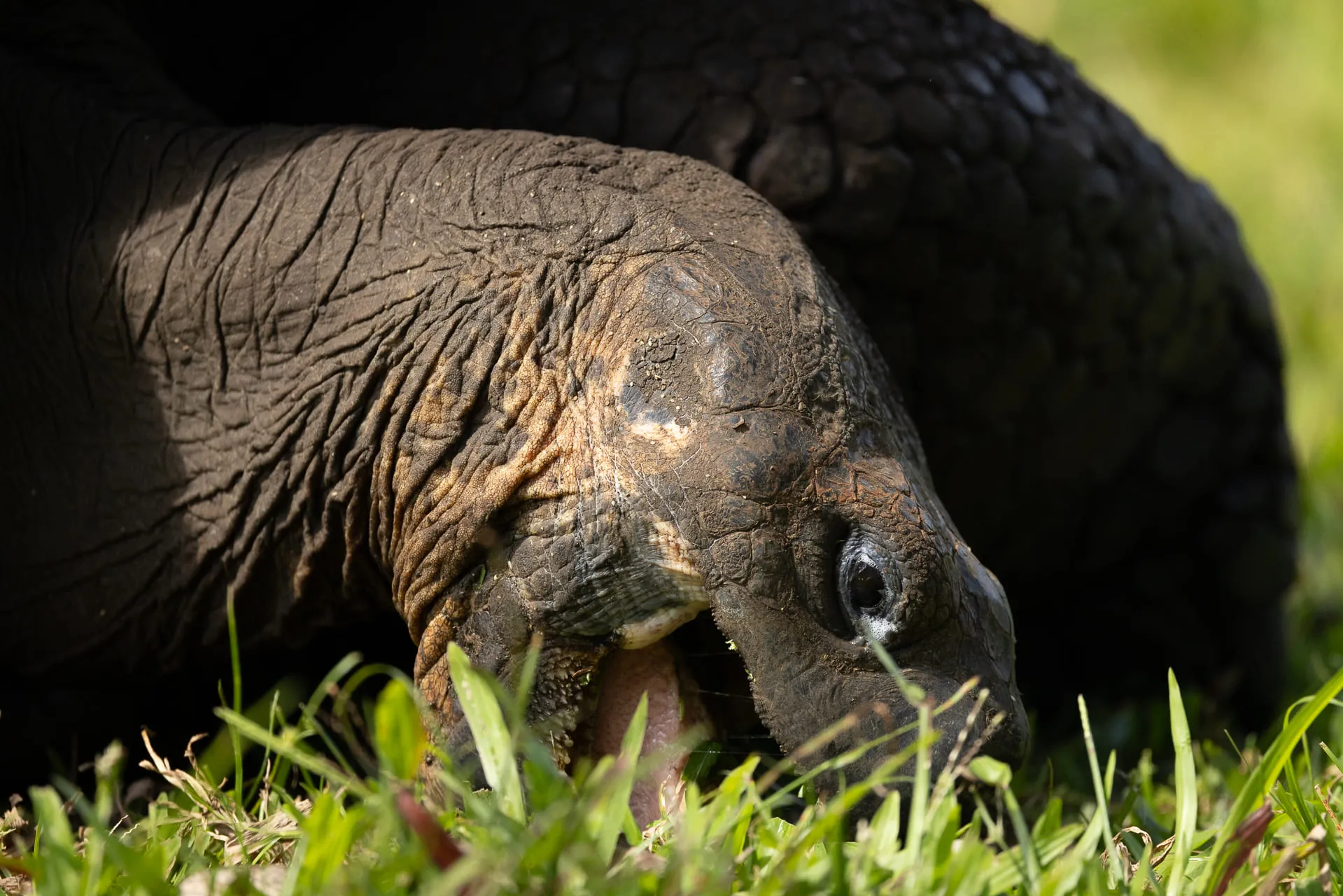 Galápagos — photograph 19 of 32
