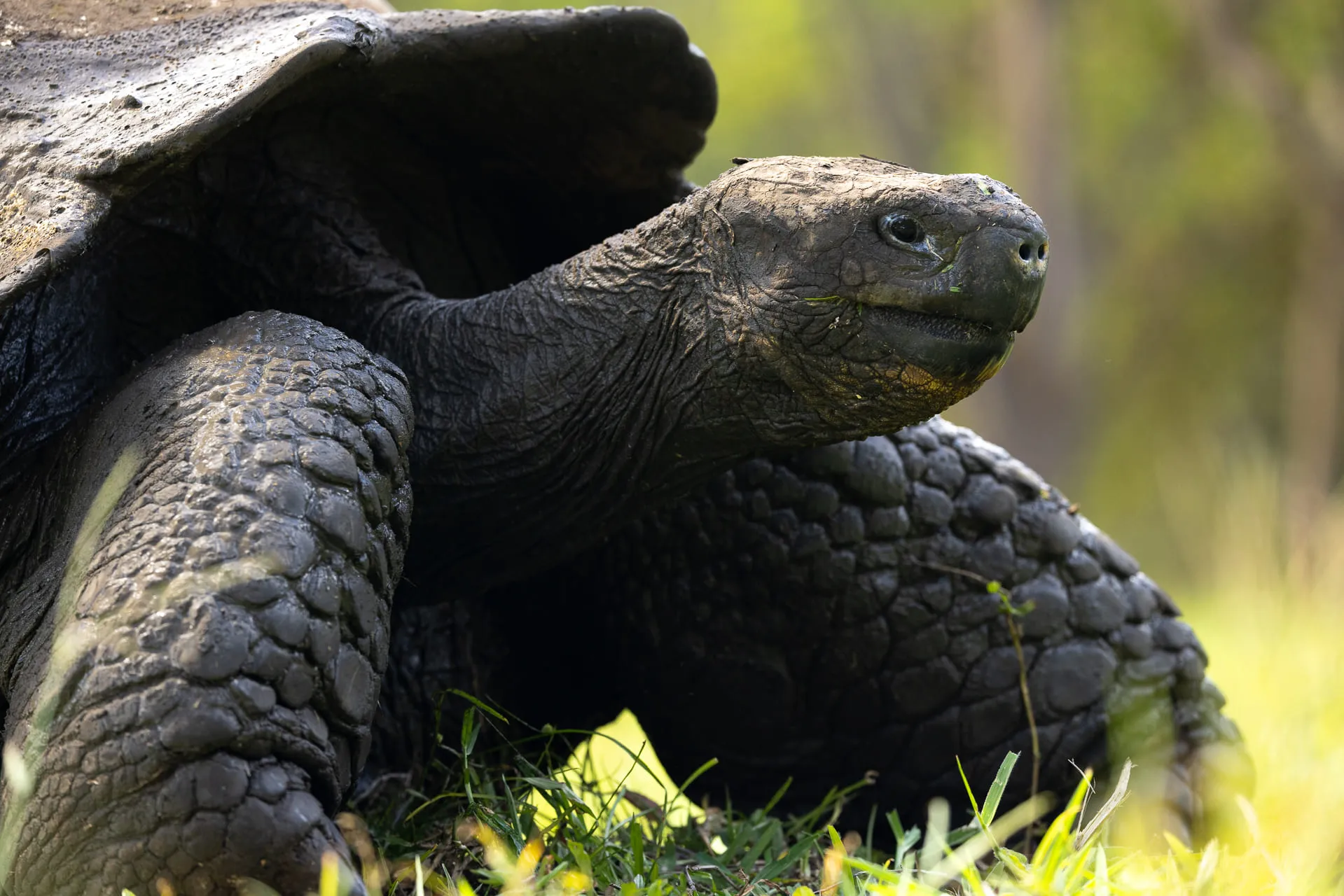 Galápagos — photograph 2 of 32