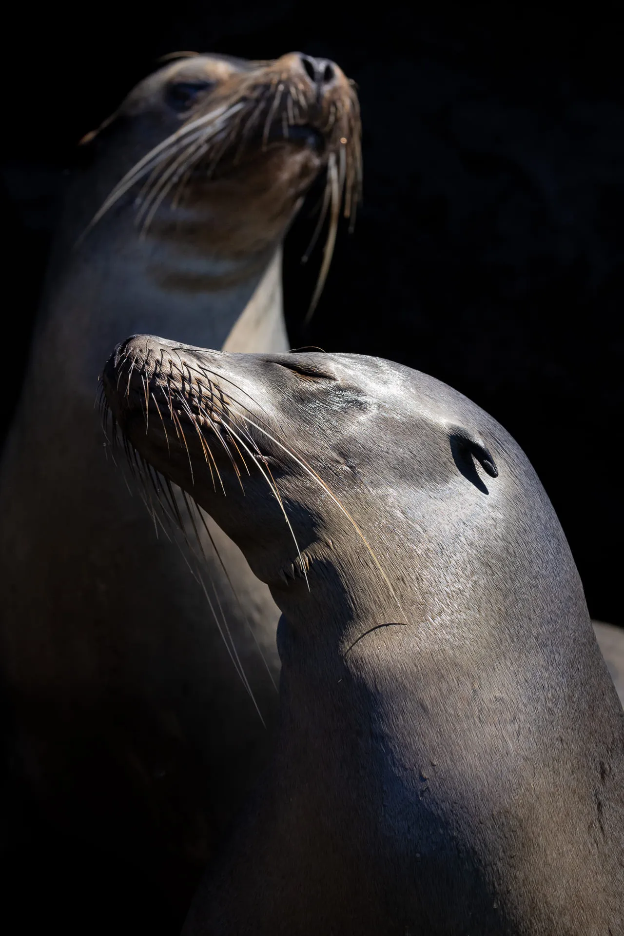 Galápagos — photograph 6 of 32