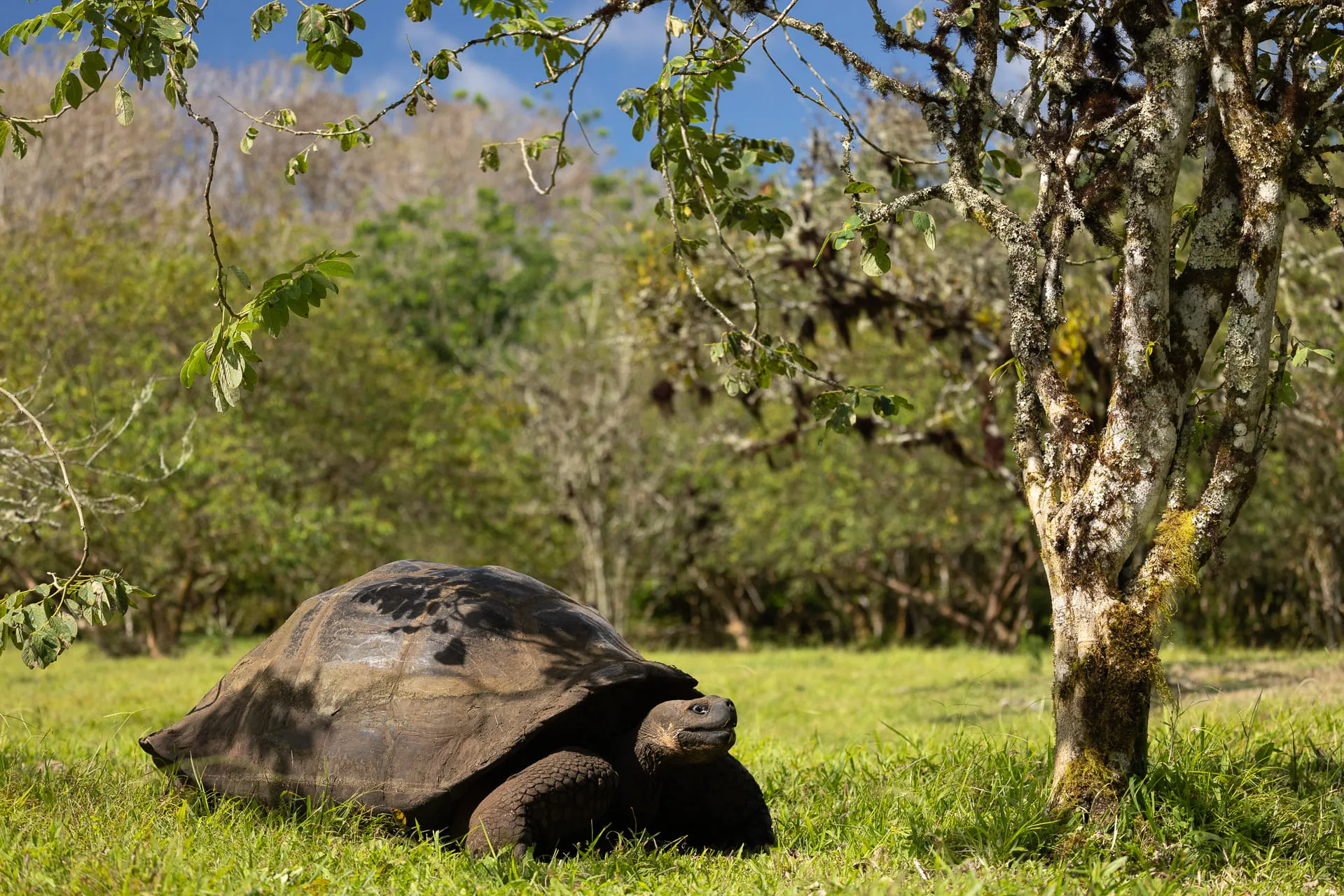 Galápagos — photograph 9 of 32