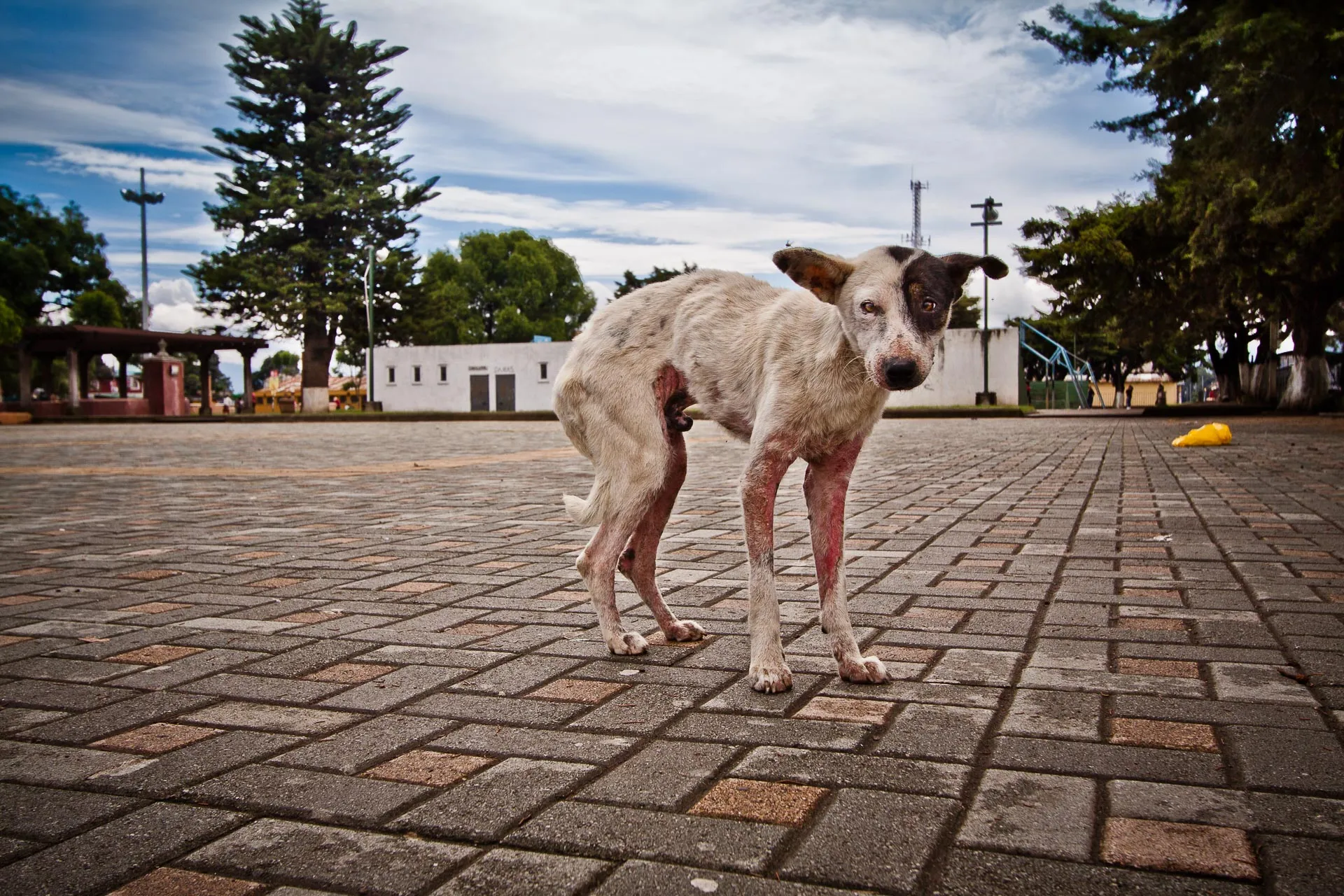 Guatemala — photograph 6 of 8