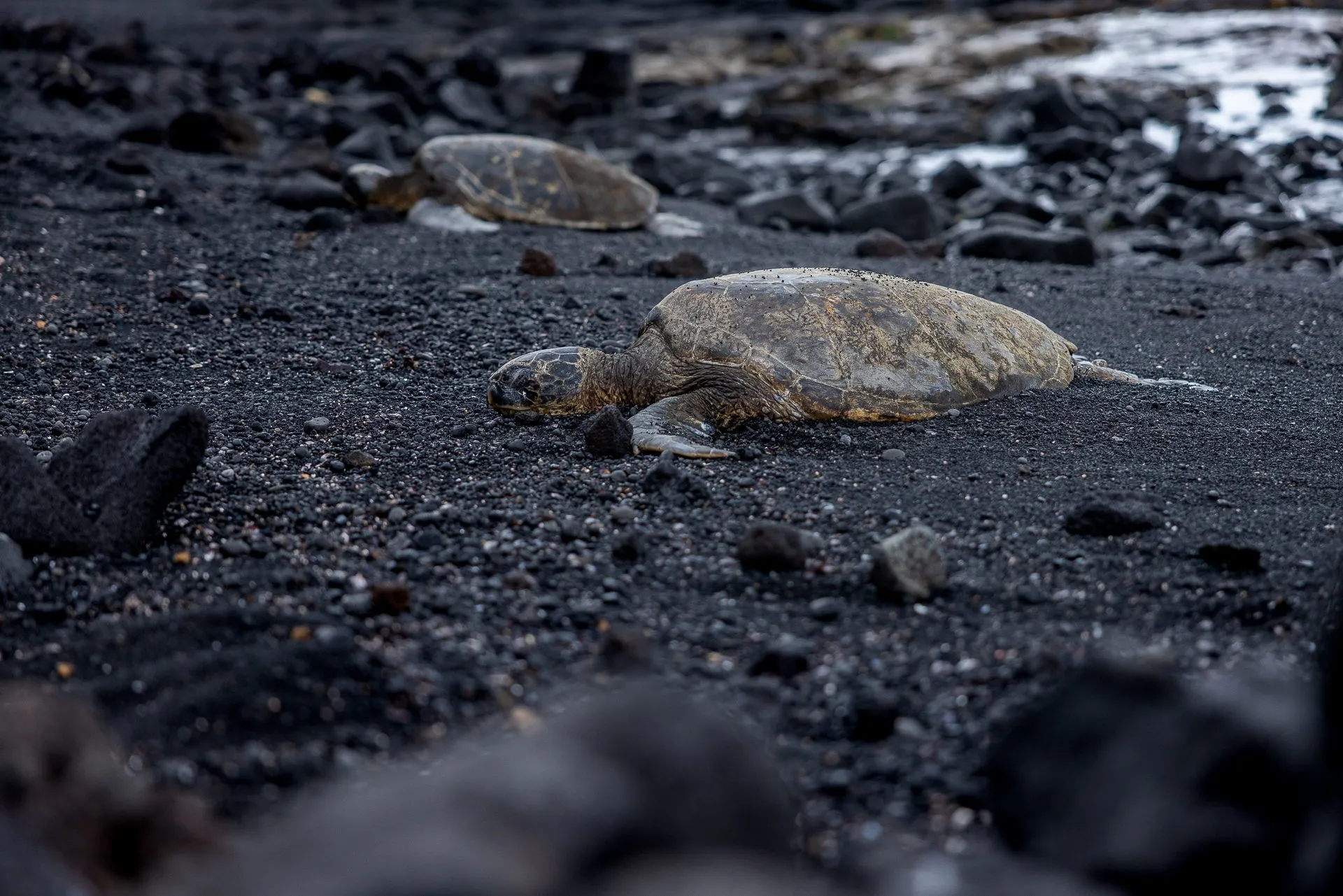 Hawaii — photograph 4 of 11
