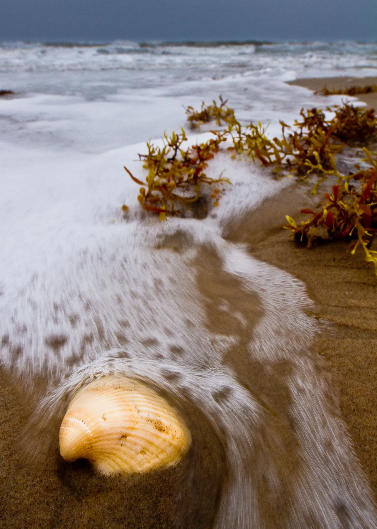 Nature — photograph 12 of 26