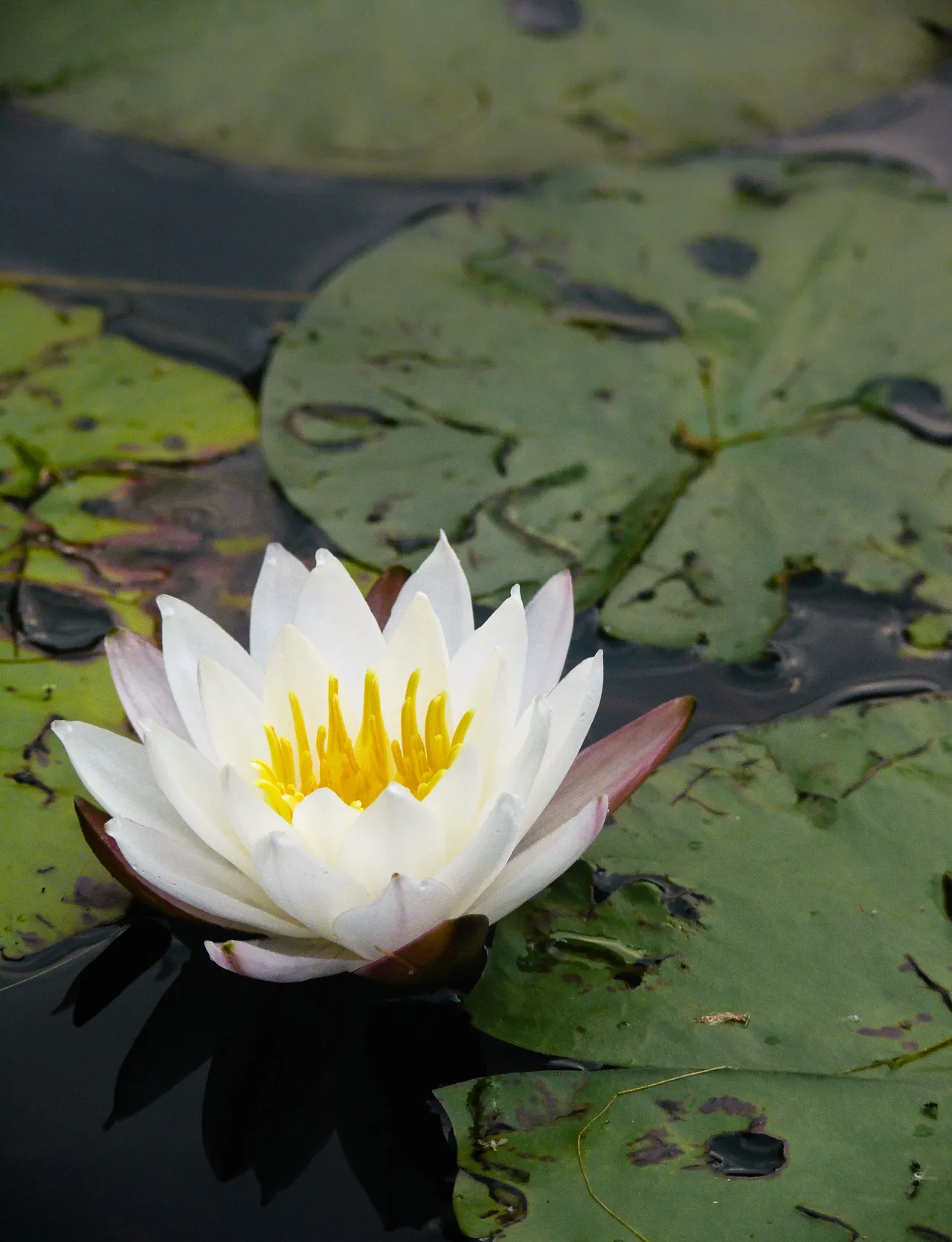Nature — photograph 14 of 26