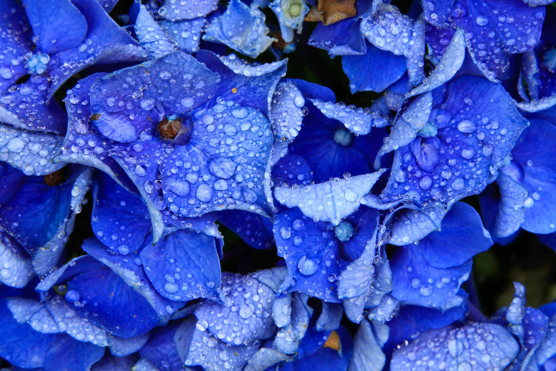 Nature — photograph 15 of 26