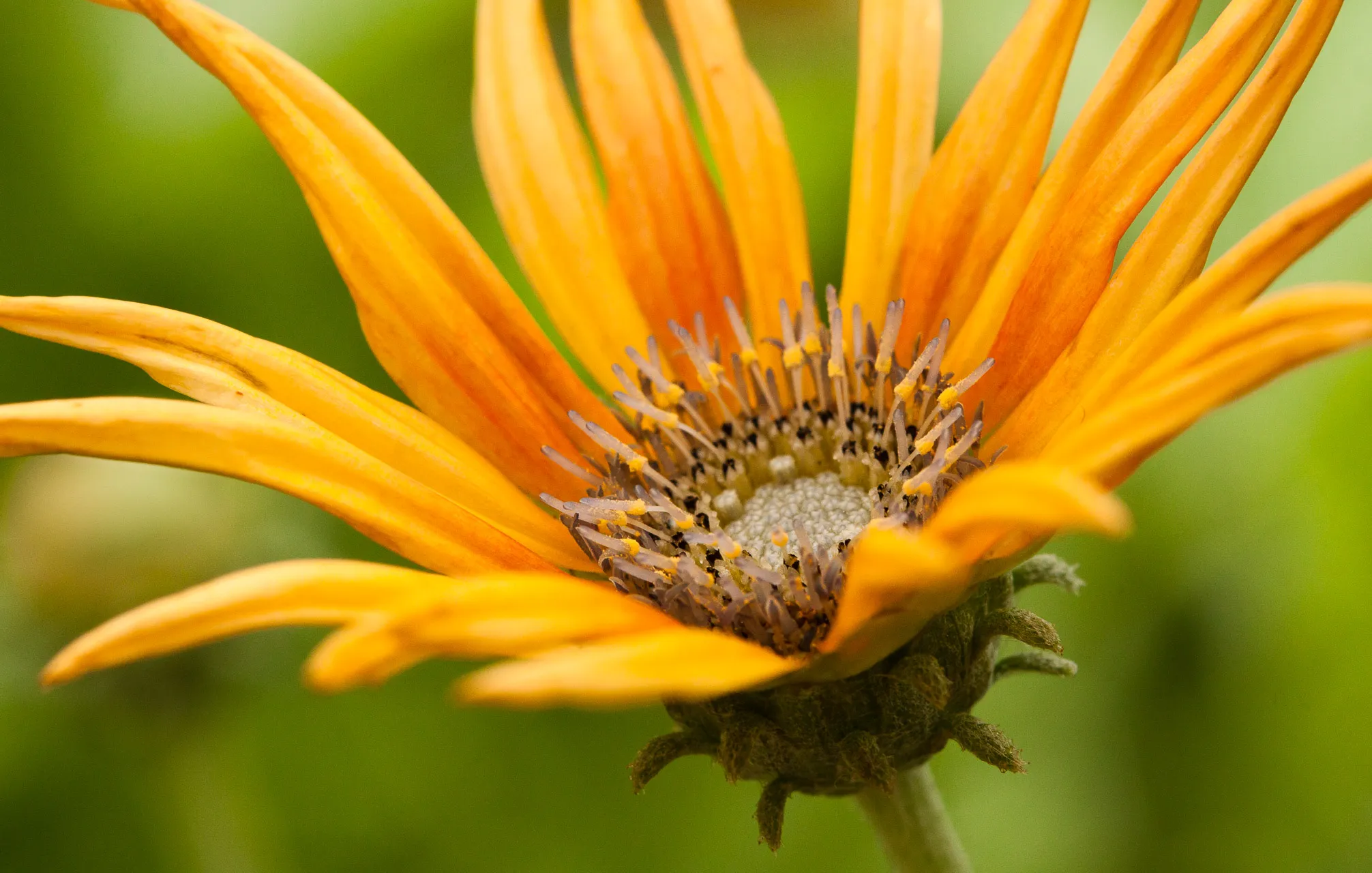 Nature — photograph 20 of 26
