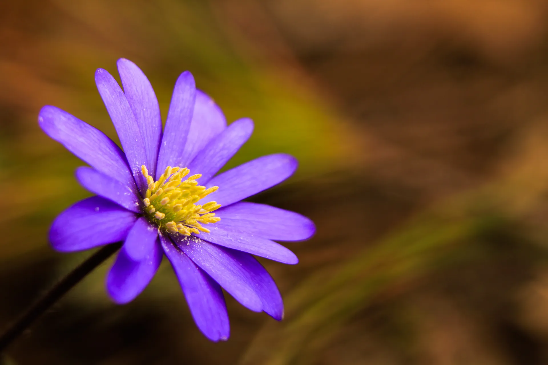 Nature — photograph 25 of 26