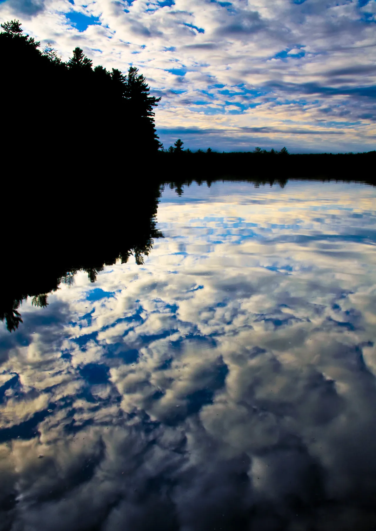 Nature — photograph 26 of 26