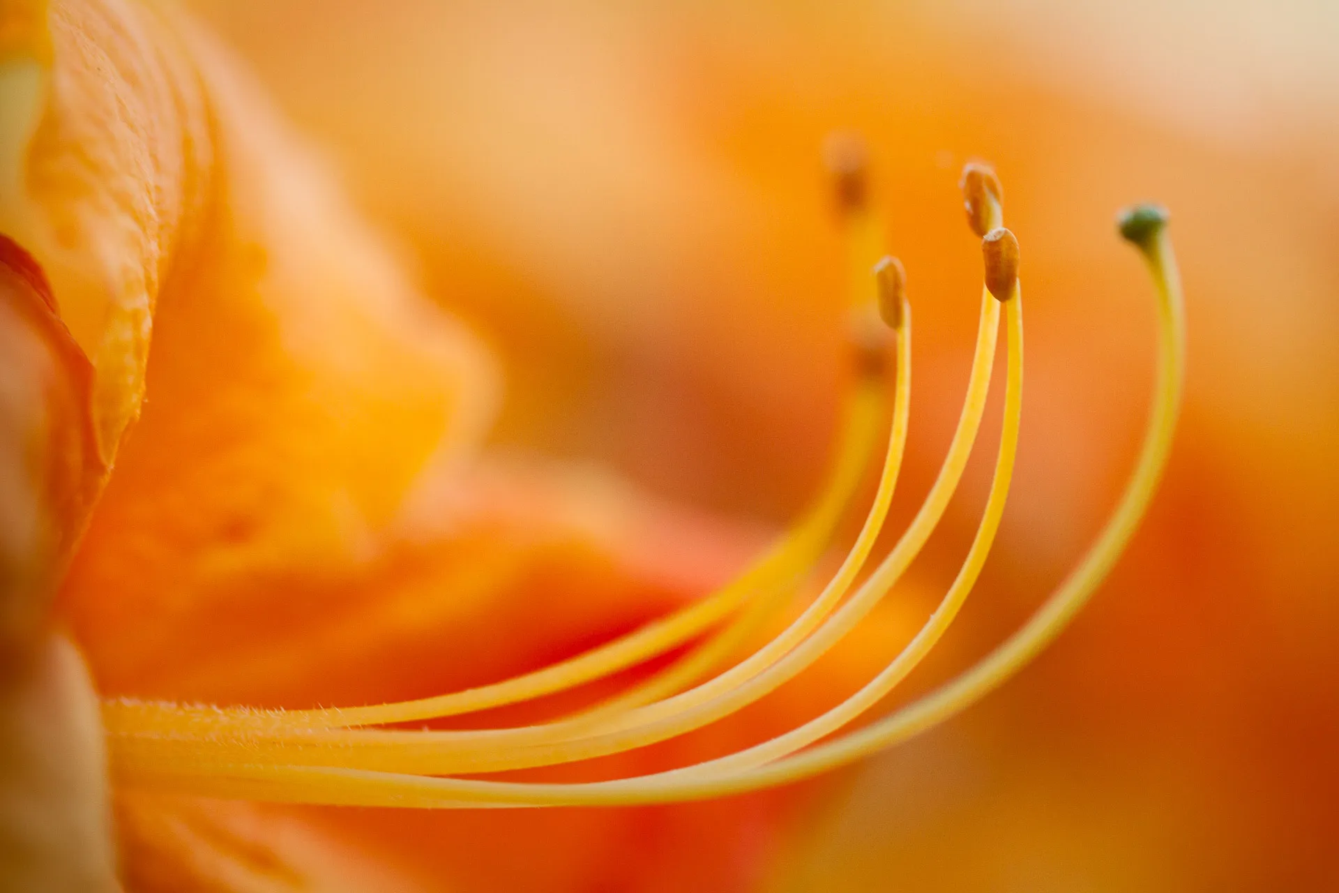 Nature — photograph 6 of 26