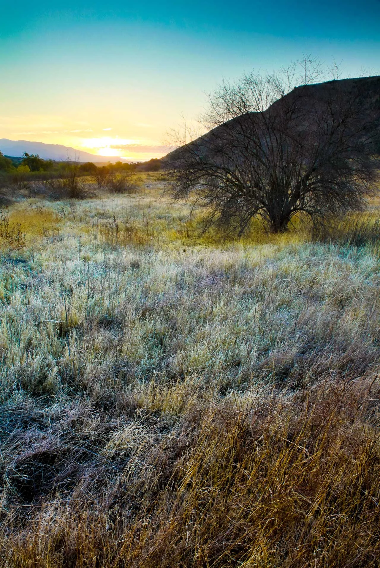 Nature — photograph 7 of 26