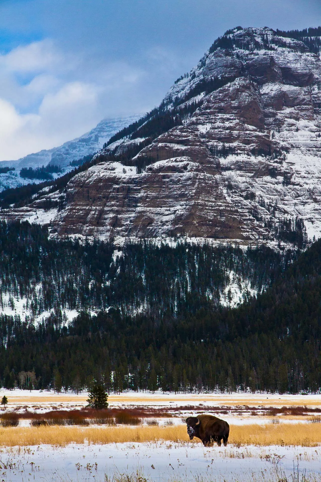 Yellowstone — photograph 1 of 7