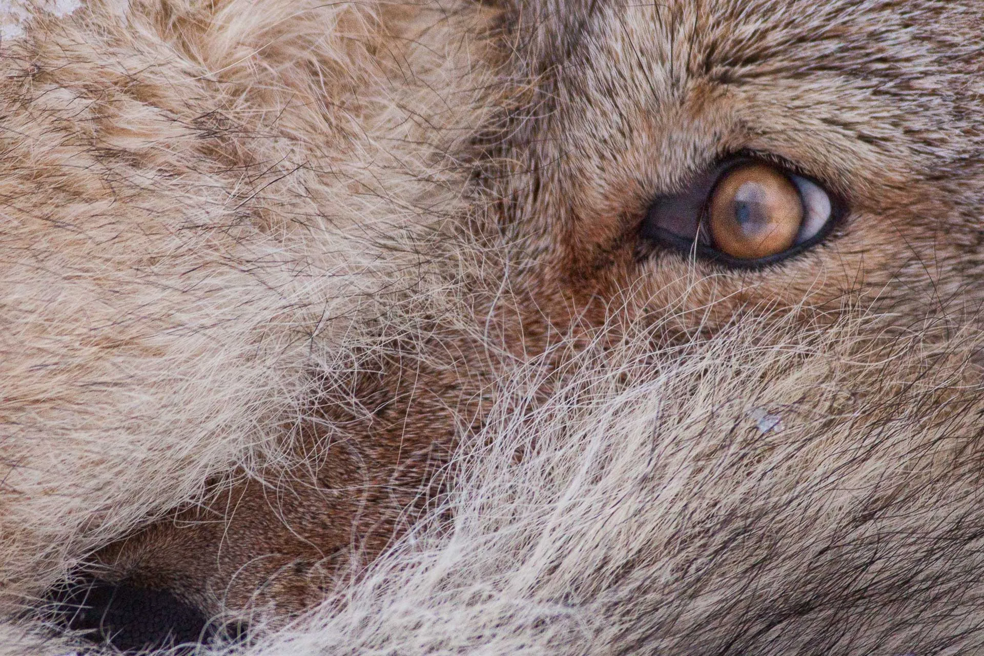 Yellowstone — photograph 7 of 7